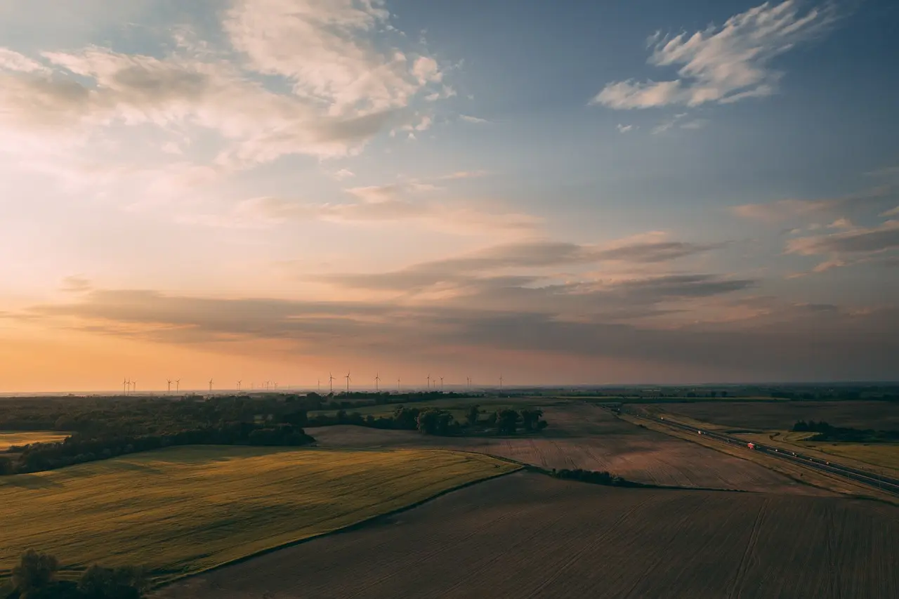 fields